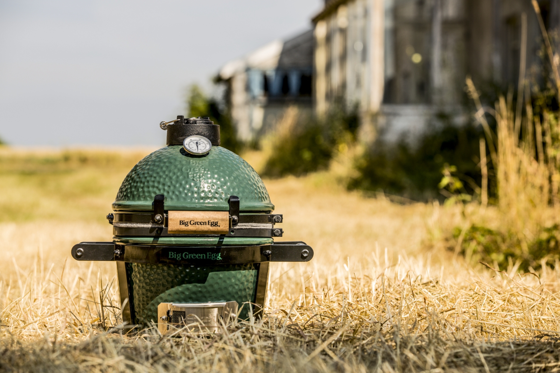 Big Green Egg_MiniMax