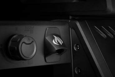 Napoleon Phantom Freestyle 425